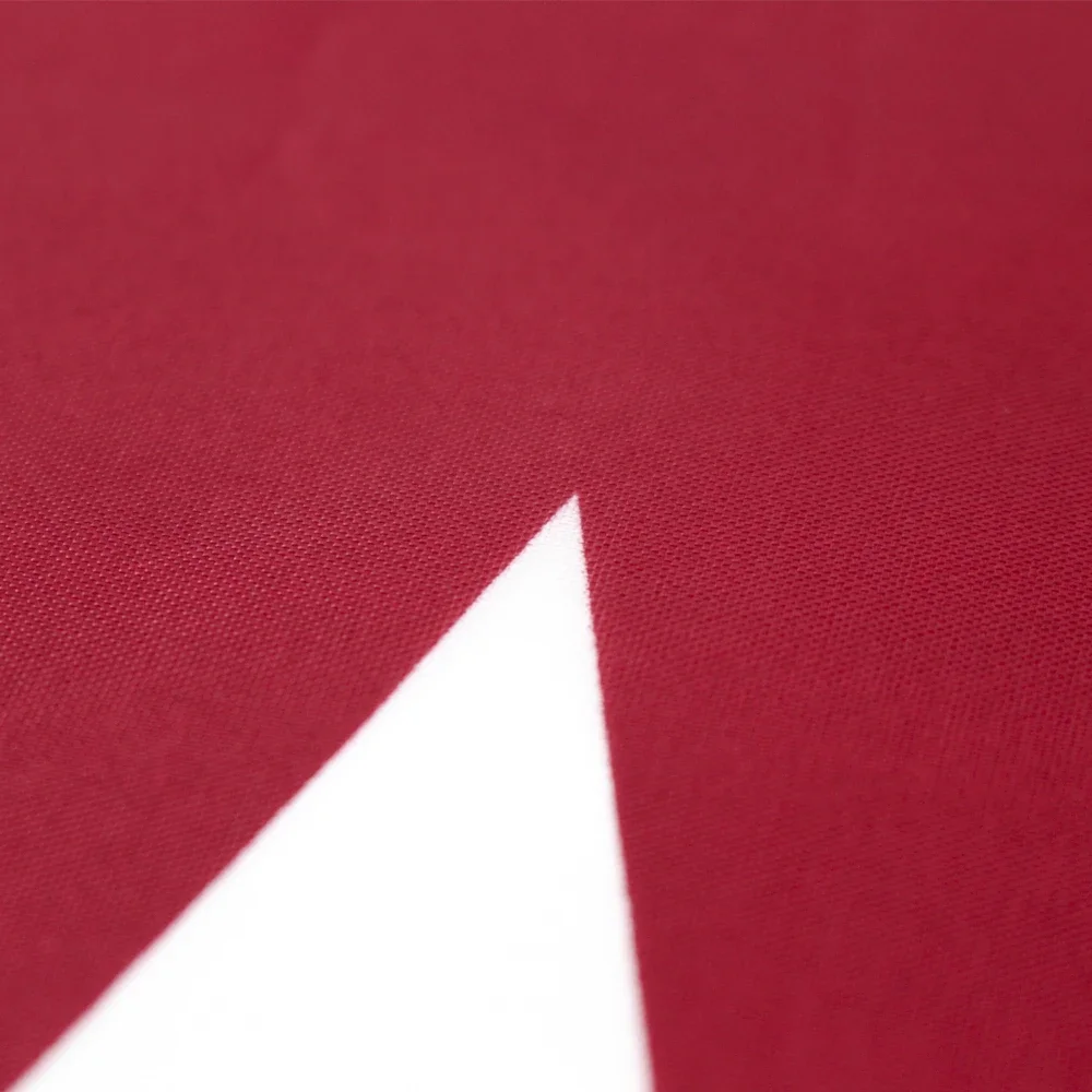 60x90cm 90X150cm Qatar flag po - Home Decor Qatar 评论和价格